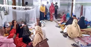 বরগুনায় নতুন করে ডেঙ্গু আক্রান্ত ৮৭ জন